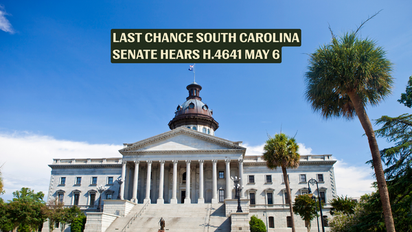 South Carolina Kratom Ban: Senate Hearing May 6 — Register to Speak by Monday Noon