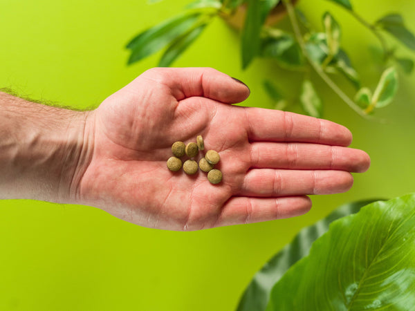 What Are Kratom Chewables? Everything You Need To Know About Chewing Kratom