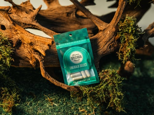 Kratom Powder Extract