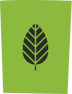Custom Branding & Packaging