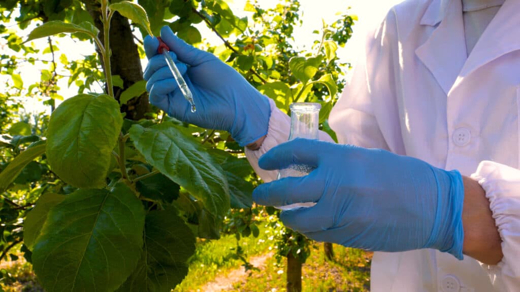 A biologist or agronomist, takes analyzes of moisture leaves, dna, pipette, in a white coat, in blue rubber gloves, a field of kratom