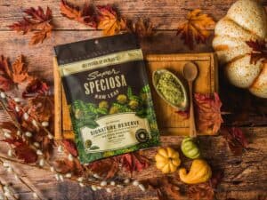 Super Speciosa Signature Reserve green kratom powder with tray of kratom in autumn settings with pumpkins and leaves. Discover how to find high quality kratom like Super Speciosa’s.