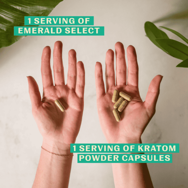 comparing serving sizes with emerald select enhanced enhanced kratom capsules and regular kratom powder capsules. 2 hands holding different servings of capsules.