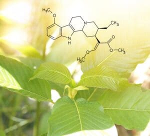 Mitragynine alkaloid molecule Mitragyna speciosa Plant in natural wild